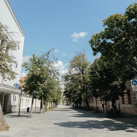 Contessa Lägenhet Cluj-Napoca